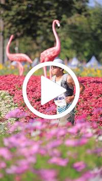 BIB:  <button type="button" onclick="openModal(27588502)" class="btn btn-primary btn-sm float-right" data-toggle="modal" data-target=".modal-high-quality">
                <i class="fa fa-download"></i> Download
                </button>